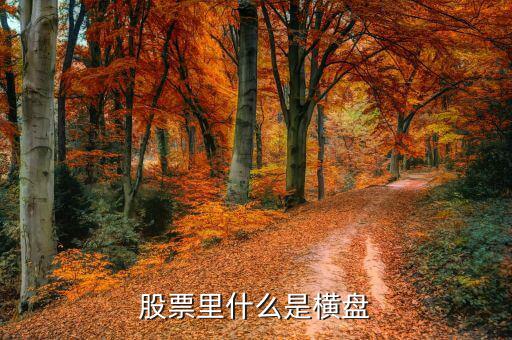 橫盤(pán)調(diào)整什么意思，股民們說(shuō)的建倉(cāng)橫盤(pán)是什么意思