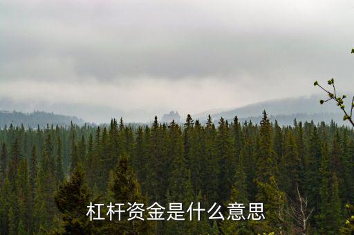 資金杠桿是什么意思，投資里面的杠桿是什么意思