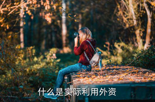 什么叫實(shí)際使用外資，什么是實(shí)際利用外資