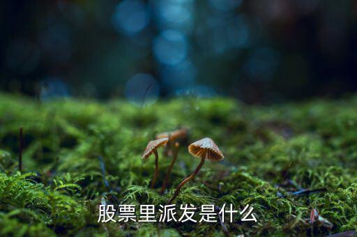 什么是股票派發(fā)，股票什么叫派發(fā)
