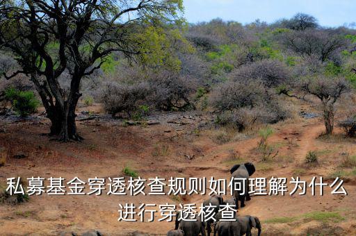 基金的穿透是什么意思，私募基金合格投資者的穿透核查怎么理解