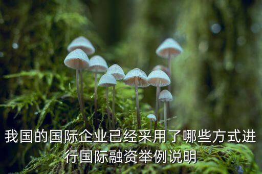 我國的國際企業(yè)已經采用了哪些方式進行國際融資舉例說明