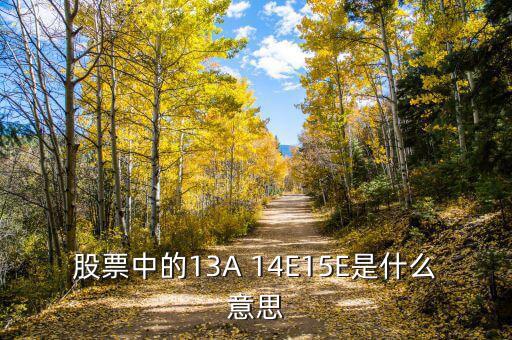 市盈率13a什么意思，財(cái)務(wù)報(bào)表中13A 14E 是什么意思