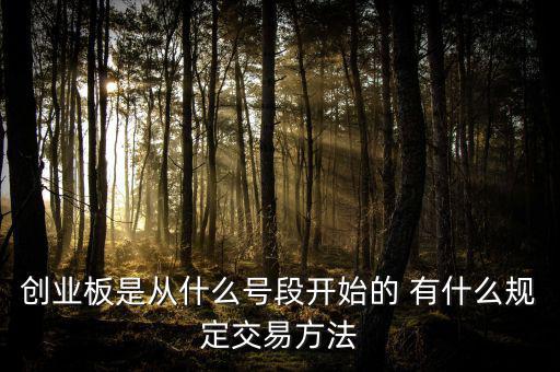 創(chuàng)業(yè)板什么開頭，創(chuàng)業(yè)板代碼什么數(shù)字開頭