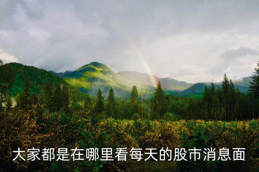 每天的股票信息看什么網(wǎng)站，大家都是在哪里看每天的股市消息面
