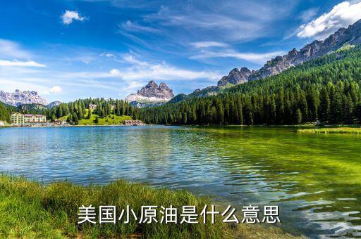 美國(guó)原油是什么意思，看盤(pán)上的美國(guó)原油0102什么意思