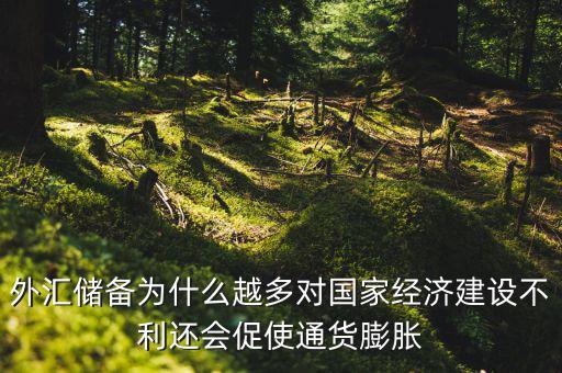 外匯儲備為什么越多對國家經濟建設不利還會促使通貨膨脹