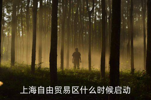 上海自貿(mào)區(qū)什么時候開放，上海自由貿(mào)易區(qū)什么時候啟動