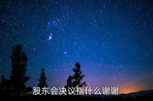 什么是股東會(huì)決議，有限責(zé)任公司決議叫股東會(huì)會(huì)決議那么國(guó)有企業(yè)決議應(yīng)該叫什