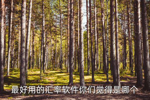 外匯用什么軟件，什么外匯交易軟件最好