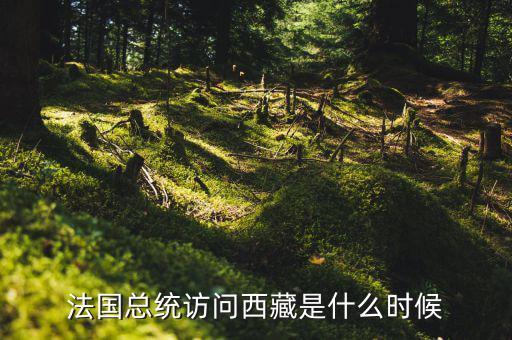 默克爾什么時間訪華，法國總統(tǒng)訪問西藏是什么時候