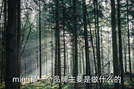 曹山石是干什么的，minij是一個品牌主要是做什么的