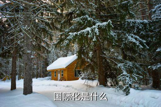 國際化的本質(zhì)是什么，經(jīng)濟(jì)全球化的本質(zhì)是什么