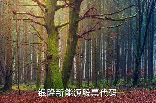 銀龍股份什么時候上市，銀隆新能源股票代碼