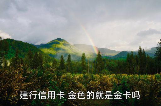 建設(shè)銀行信用卡什么卡種是金卡，我申請建設(shè)銀行的信用卡我申請的是金卡審核通過了上面寫的卡