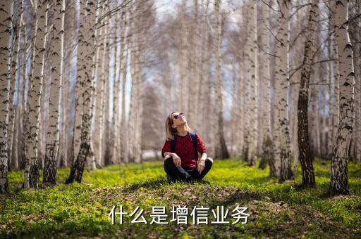 什么是增信服務(wù)，什么是增信業(yè)務(wù)