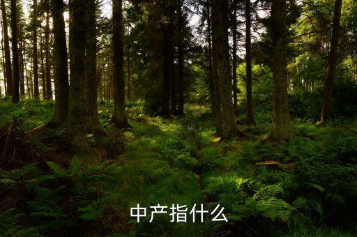中產(chǎn)消費什么，網(wǎng)易電商平臺帶給中產(chǎn)消費者的核心價值是什么