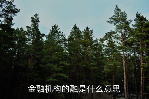 金融機(jī)構(gòu)的融是什么意思，融資中的融是什么意思