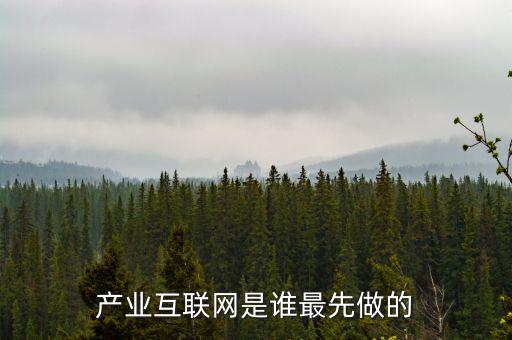 產(chǎn)業(yè)互聯(lián)網(wǎng)是什么龍頭，產(chǎn)業(yè)互聯(lián)網(wǎng)是誰最先做的
