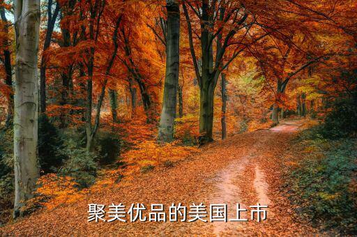 聚美優(yōu)品為什么要上市，根據(jù)聚美優(yōu)品案例談談什么是ipo