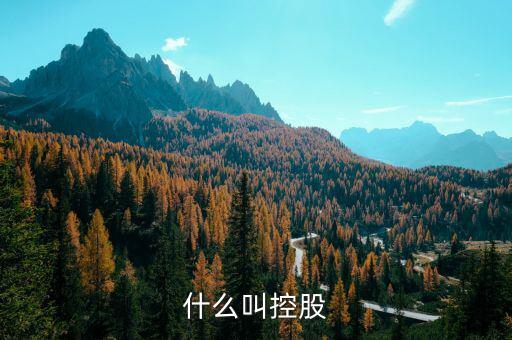 什么是控股關系，什么叫控股