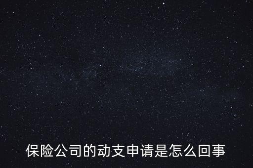 什么是動支申請，怎么樣支申請