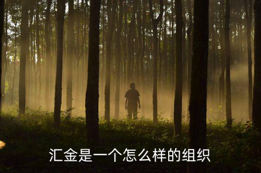 中央?yún)R金干什么的，匯金是一個(gè)怎么樣的組織