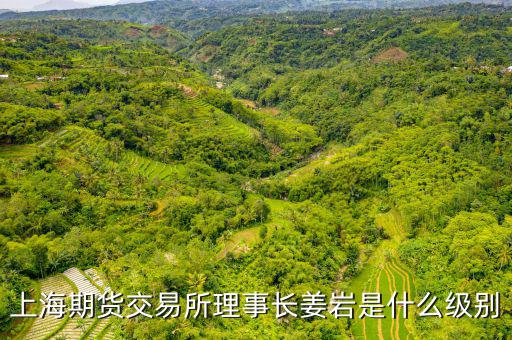 上交所理事長(zhǎng)什么級(jí)別，上海期貨交易所理事長(zhǎng)姜巖是什么級(jí)別
