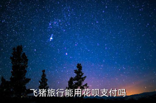 阿里巴巴abs什么時(shí)候推出的，交易貓可以用螞蟻花唄支付嗎