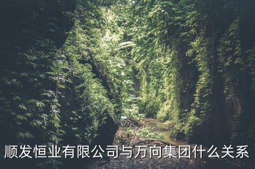順發(fā)恒業(yè)是什么公司，順發(fā)恒業(yè)有限公司與萬向集團什么關(guān)系