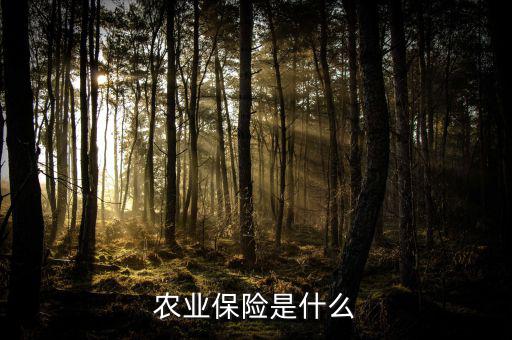 傳統(tǒng)農(nóng)業(yè)保險主要保什么風(fēng)險，農(nóng)業(yè)保險是什么
