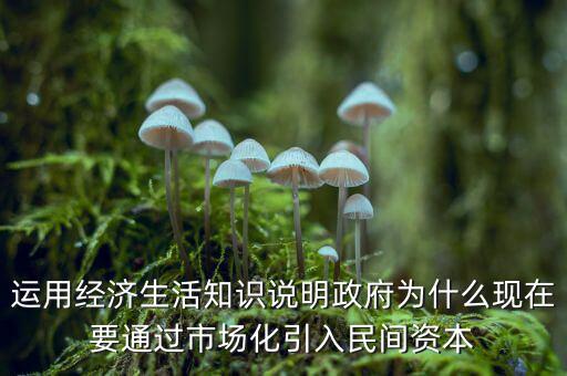 運用經(jīng)濟(jì)生活知識說明政府為什么現(xiàn)在要通過市場化引入民間資本
