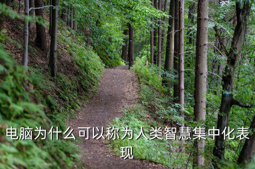 電腦為什么能夠做人工智能，電腦為什么可以稱為人類智慧集中化表現(xiàn)
