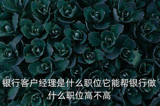 什么是銀行直銷客戶經(jīng)理，銀行客戶經(jīng)理是什么職位它能幫銀行做什么職位高不高