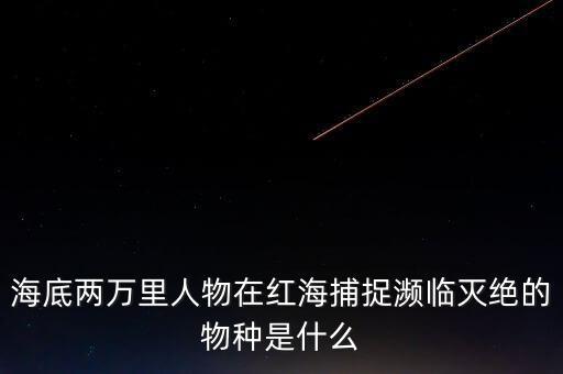 富智康和鴻海是什么關(guān)系，他的什么半島是在亞洲部分什么運(yùn)河溝通了紅海和地中海
