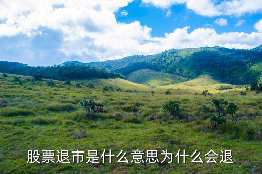 上市退出是什么意思，退市是什么意思