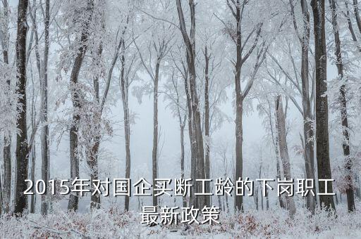 中鋁公司買斷有什么政策，2015年對(duì)國(guó)企買斷工齡的下崗職工最新政策