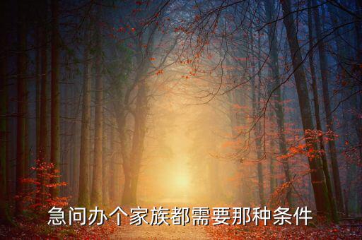 注冊(cè)家族辦公室需要什么資質(zhì)，急問(wèn)辦個(gè)家族都需要那種條件