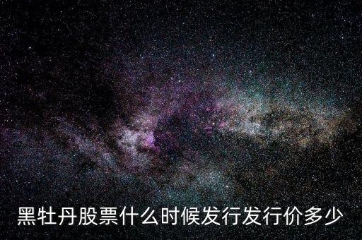 黑牡丹股什么時間上市，股票黑牡丹的上市公司是做什么的