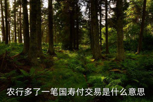國(guó)壽交易是什么，農(nóng)行多了一筆國(guó)壽付交易是什么意思
