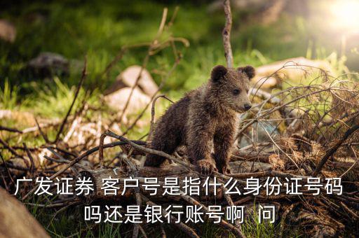 廣發(fā)證券開戶編號(hào)是什么，廣發(fā)證券 客戶編號(hào) 是什么