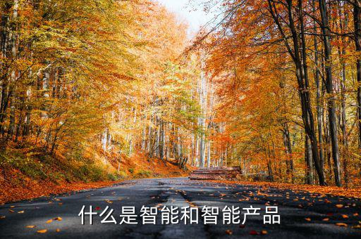 什么是智能產(chǎn)品，智能產(chǎn)品數(shù)碼產(chǎn)品電子產(chǎn)品它們有什么區(qū)別