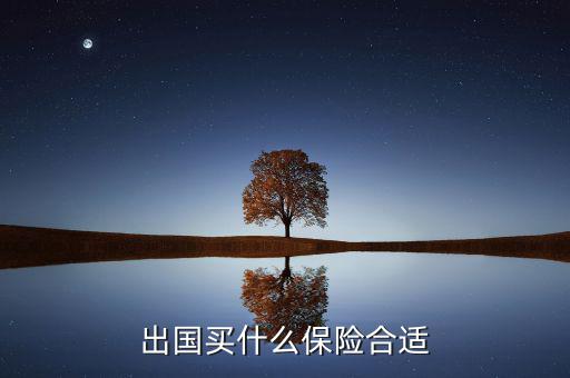 什么保險長期在國外有用，什么保險有去國外玩的保障啊