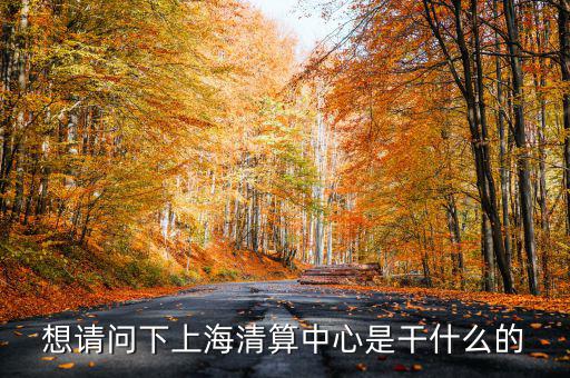 上海清算所做什么，想請問下上海清算中心是干什么的