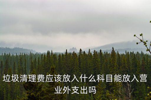 垃圾清理費(fèi)入什么科目，垃圾處理費(fèi)財務(wù)記哪個科目