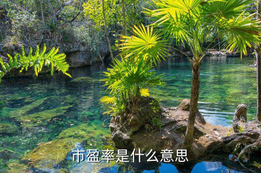 什么是市盈率，什么是市凈率和市盈率