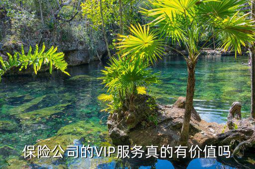 人保貴賓會(huì)員卡有什么用，人保服務(wù)卡是甚么用的