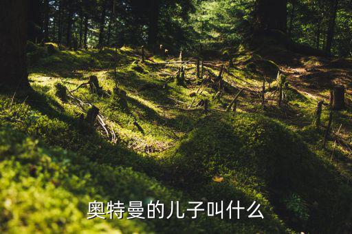 奧特佳老總兒子叫什么，奧特曼的兒子叫什么