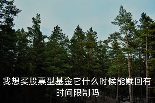 基金什么時候不能轉換，我想買股票型基金它什么時候能贖回有時間限制嗎