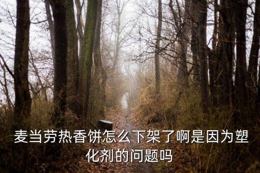 麥當勞怎么了,麥當勞訂貨過程引學生思考工藝設(shè)計不是簡單程序